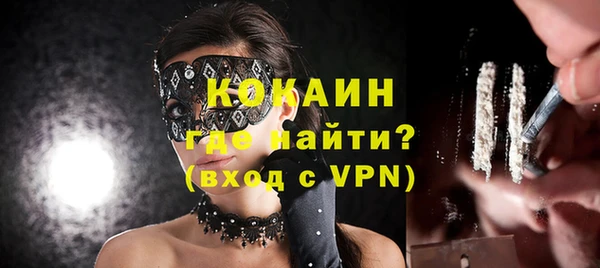индика Краснослободск