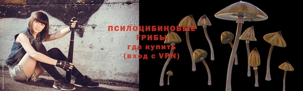 марки lsd Белоозёрский