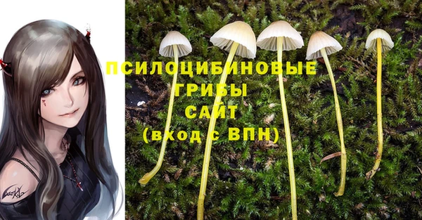 бошки Беломорск
