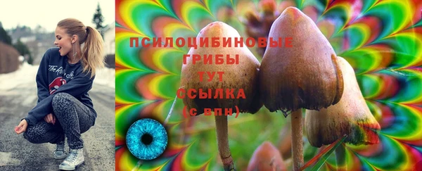 2c-b Богданович