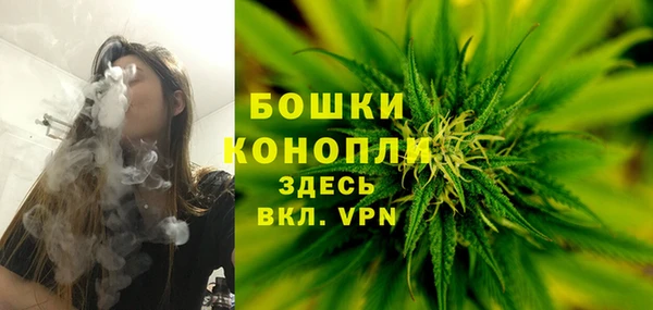 PSILOCYBIN Богородск