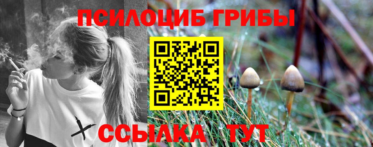 Псилоцибиновые грибы Psilocybine cubensis  Вход с VPN  Горячий Ключ 
