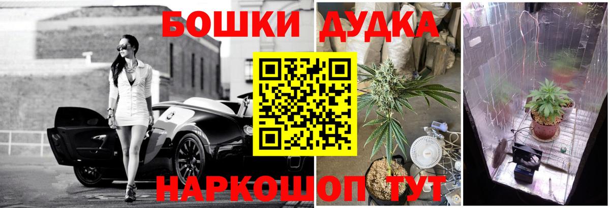 Марихуана Bruce Banner Горячий Ключ